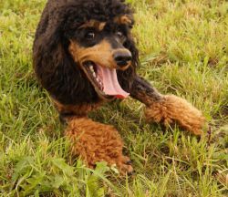 Juli2017 350